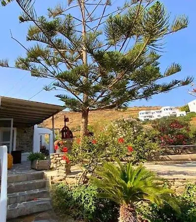 Beyond The Tree Kionia